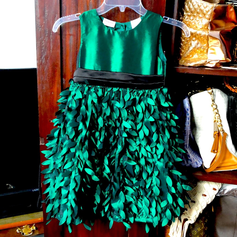 “Gorgeous Little Girl Dress” never worn.